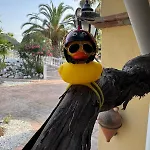 Hacienda De La Siesta 别墅 Coín
