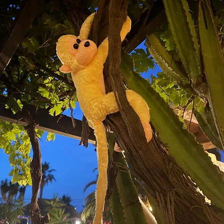 Hacienda De La Siesta * كوين